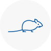 Mice Exterminators In Rickmansworth